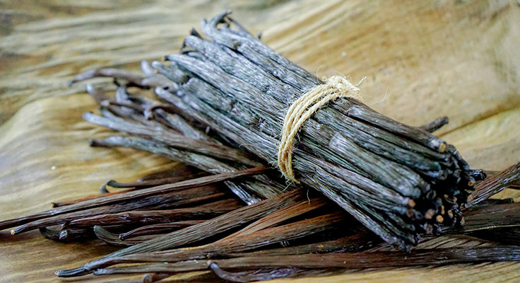 Bundle of dried vanilla beans on wooden surface.