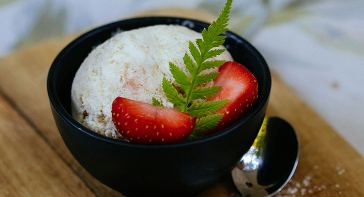 Scoop of vanilla ice cream with fresh strawberry garnish.