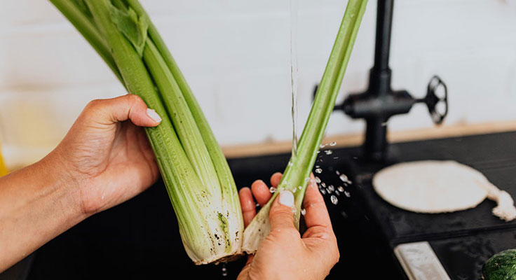 Washing fresh celery under tap water in kitchen sink.