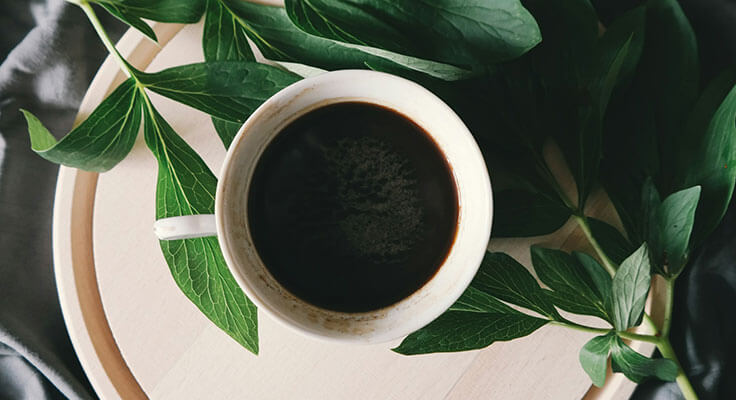Coffee cup surrounded by green leaves on tray.