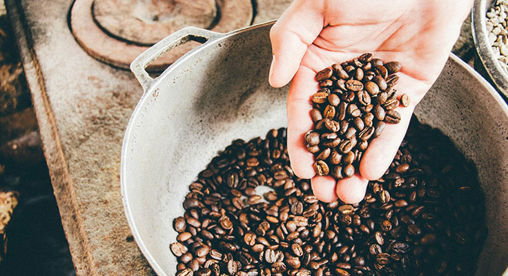 Hand holding roasted coffee beans over metal pot.