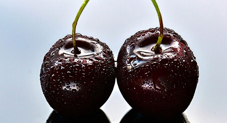 Two fresh cherries with water droplets, close-up.