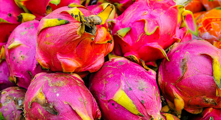 Fresh dragon fruit on display at market.