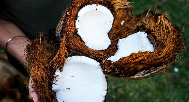 Person holding open coconuts showing white flesh.