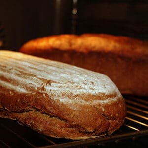 Freshly baked bread in oven