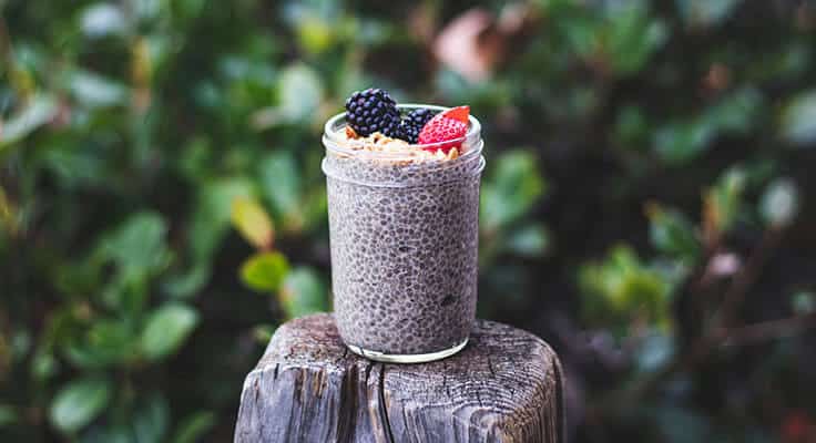 Chia pudding with berries on natural backdrop.