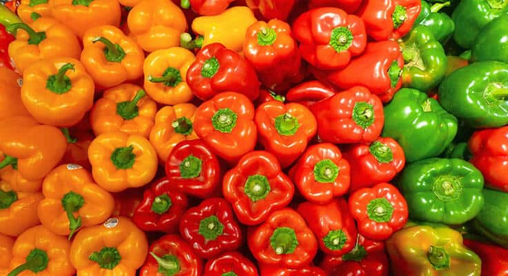 Colorful red, yellow, and green bell peppers on display.