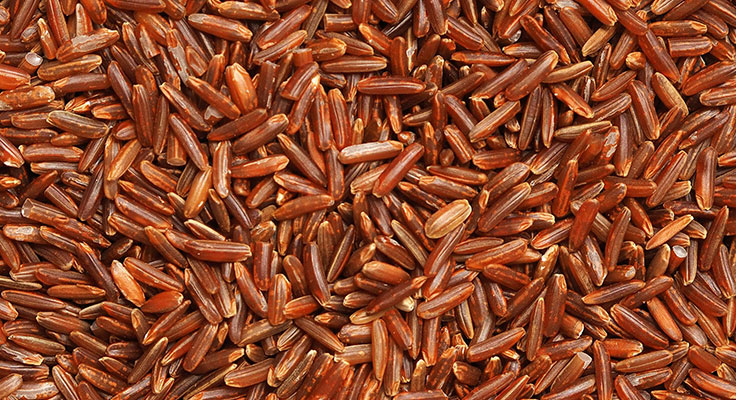 Close-up of uncooked red rice grains
