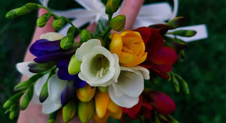 Colorful bouquet in hand, close-up.