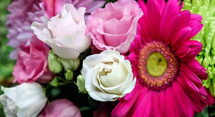 Assorted colorful spring flowers close-up