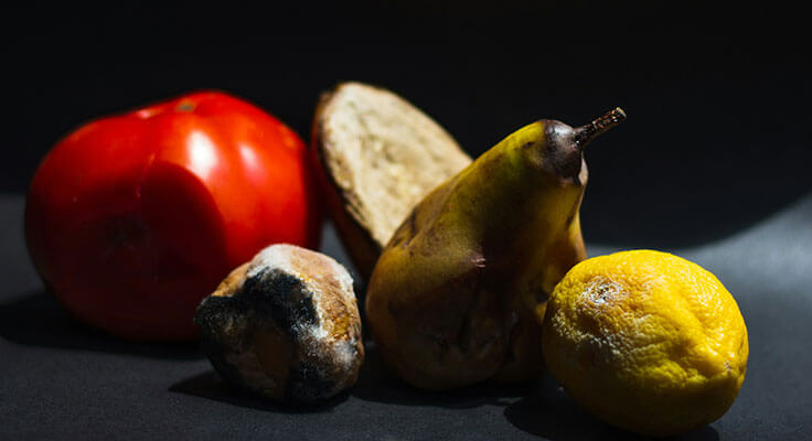 Mold grown on fruit and veggies