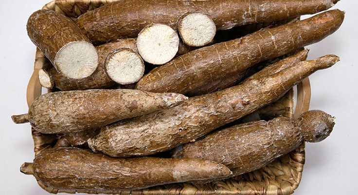 yuca fries out of yuca roots