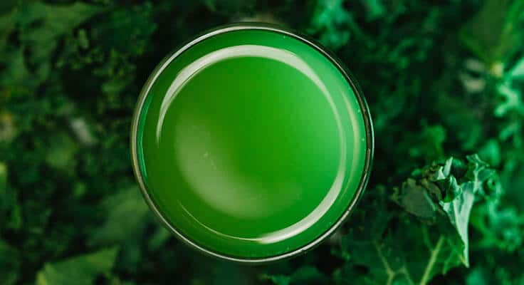 Green kale juice surrounded by kale leaves