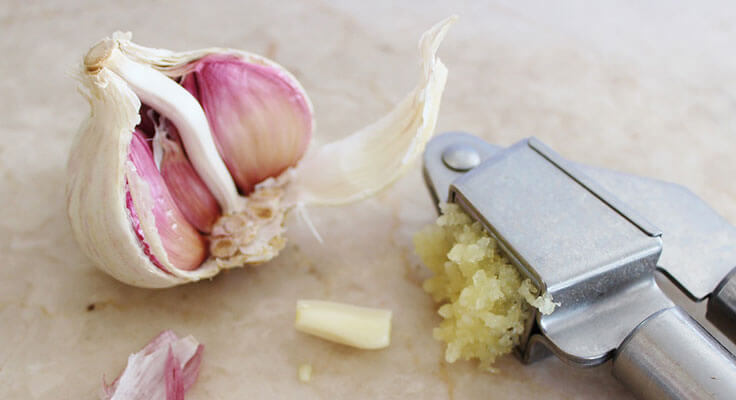 Garlic bulb and garlic press on countertop.