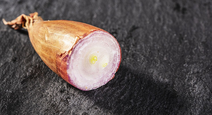 Halved shallot on dark surface