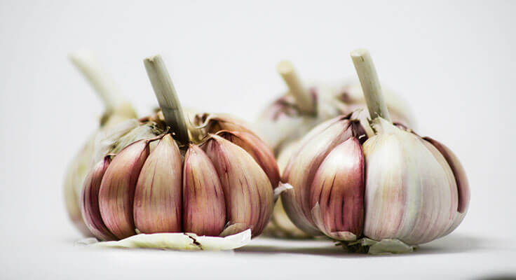 Close-up of fresh garlic bulbs