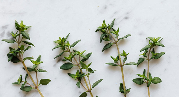 Fresh thyme sprigs on marble surface.