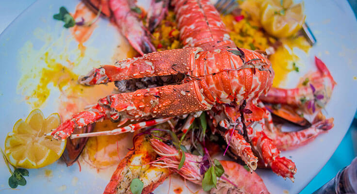 Lobster and shrimp meal with lemon slices.