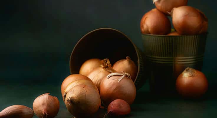 Fresh onions in rustic containers
